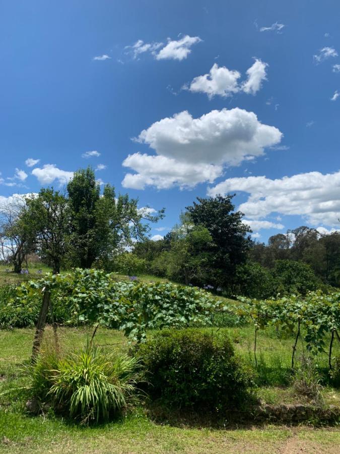 Vila Sitio Vale Dos Vinhedos Bento Gonçalves Exteriér fotografie